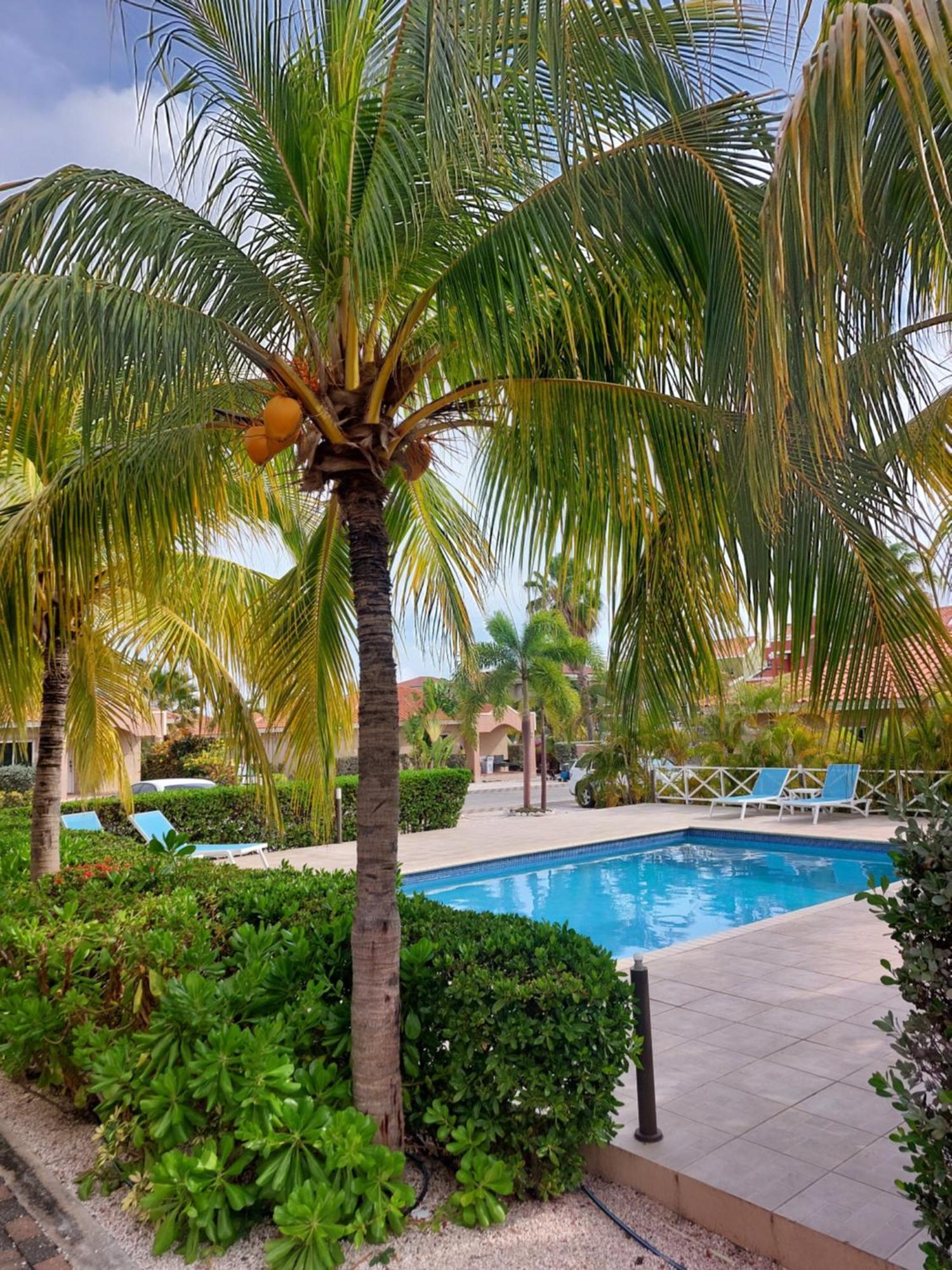 Caribbean Beach Resort Blenchi Curacao Віллемстад Екстер'єр фото