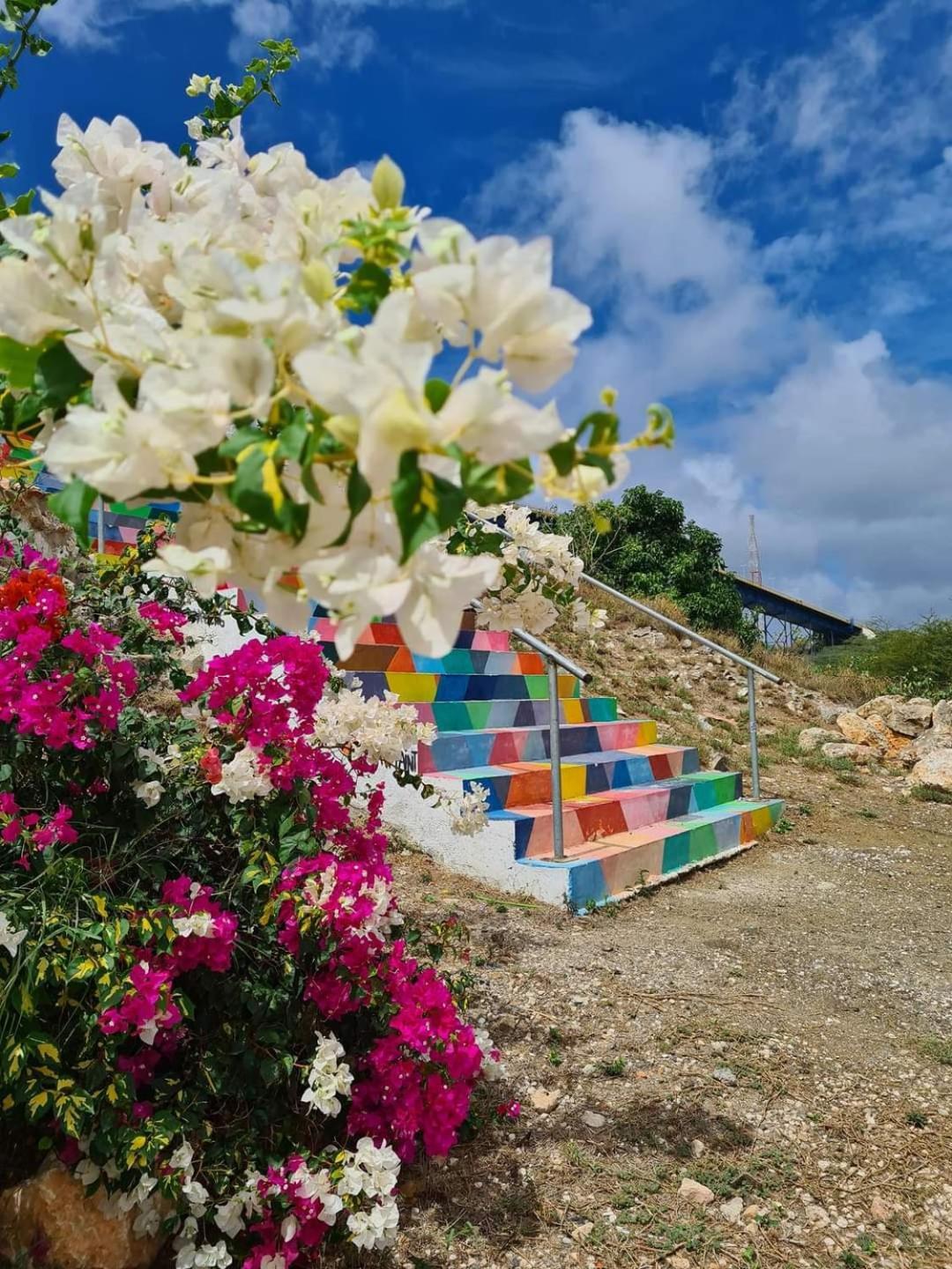 Caribbean Beach Resort Blenchi Curacao Віллемстад Екстер'єр фото
