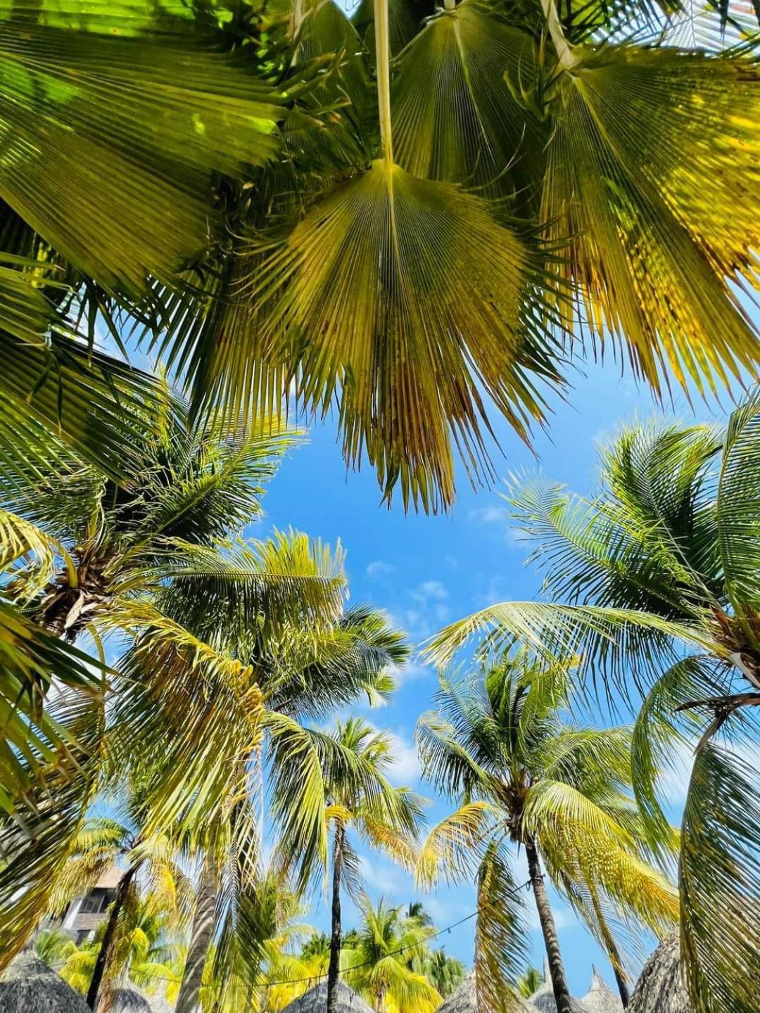 Caribbean Beach Resort Blenchi Curacao Віллемстад Екстер'єр фото